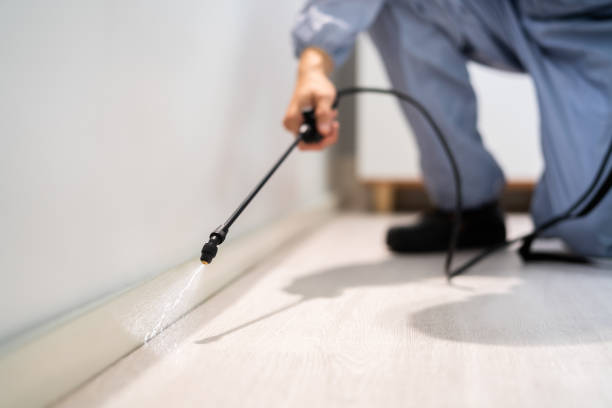 Bed Bug Pre-Treatment Preparation Assessment in Woodsville