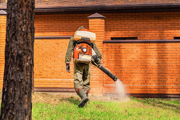 Bed Bug Clearance Verification and Documentation in Woodsville